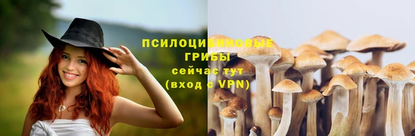 марки nbome Аркадак