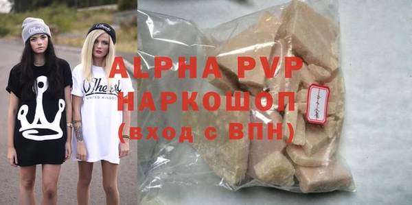 стафф Арсеньев